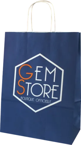 sac kraft poignées torsadées gem store